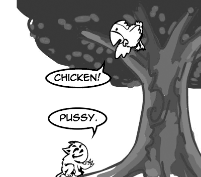Chicken vs. Cat