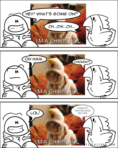 Chicken vs. LOLchicken
